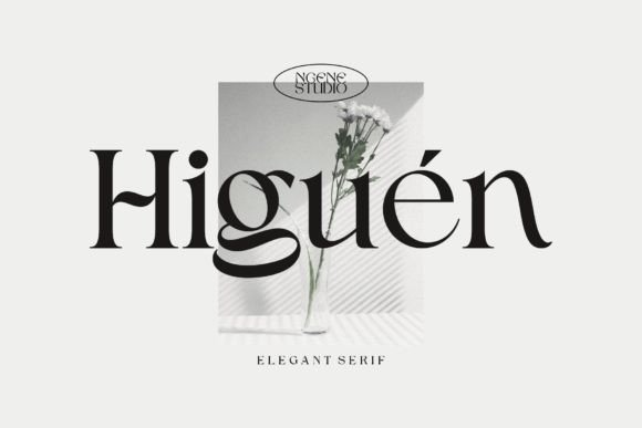 Higuen: A Serif Font for Elegant & Modern Design