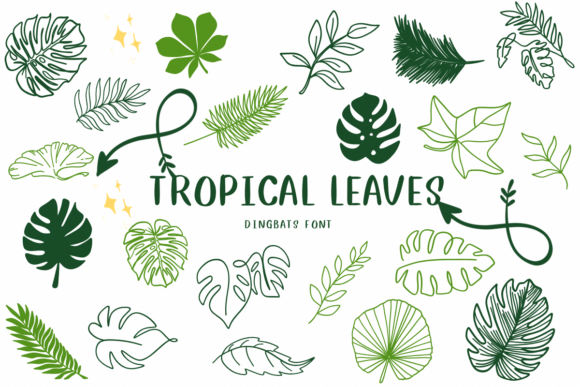 Tropical Leaves: Elevating Your Designs with Nature's Typography