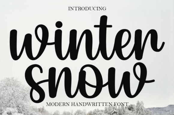 Winter Snow: A Modern Script Font for Elegant Seasonal Design